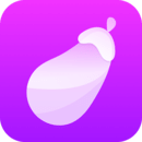 茄子视频官方版下载app
