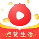 葱花视频手机版