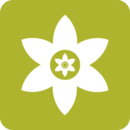 安装狮直装版apk