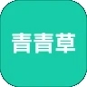 青青草视频在线观看软件下载