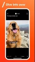 Reddit app 官网下载