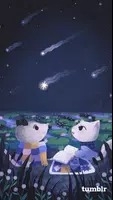 Tumblr客户端下载